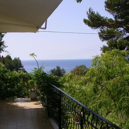 Polymnia Apartments Spartia  Bagian luar foto