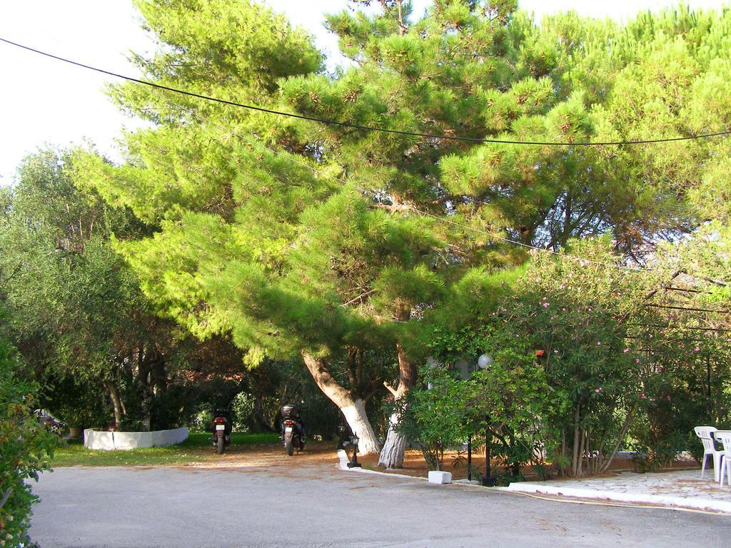 Polymnia Apartments Spartia  Bagian luar foto