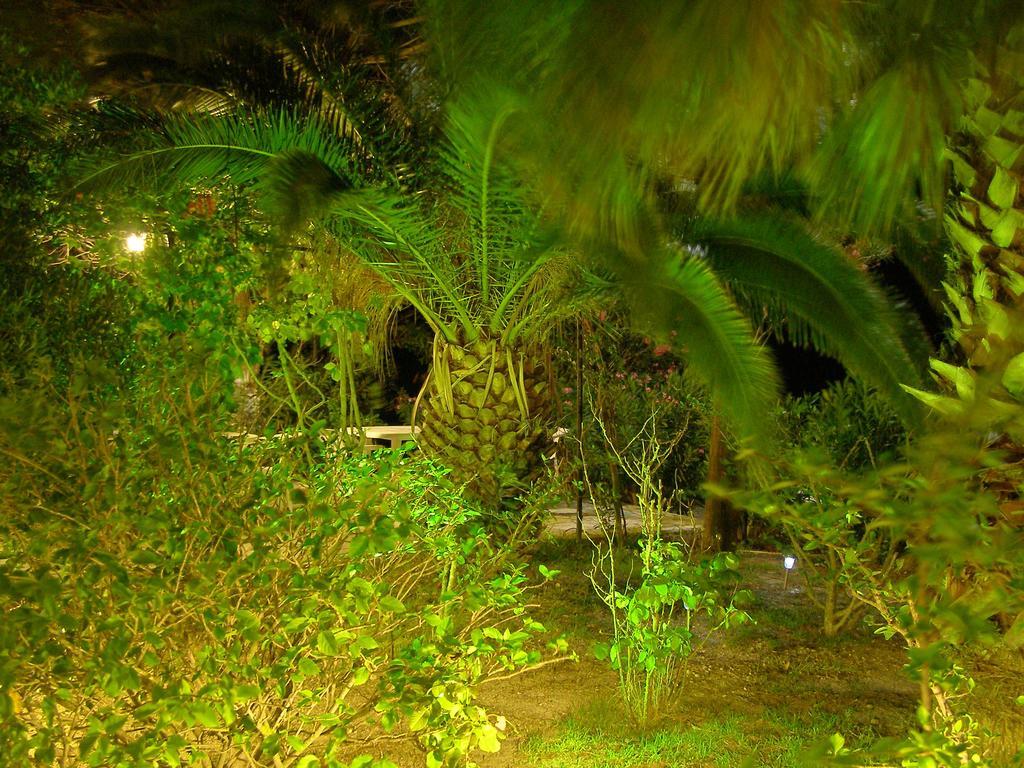Polymnia Apartments Spartia  Bagian luar foto