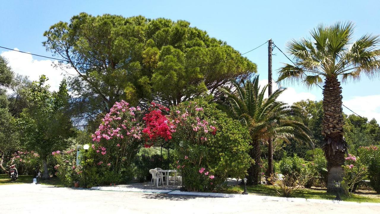 Polymnia Apartments Spartia  Bagian luar foto